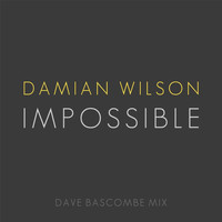 Damian Wilson - Impossible (Dave Bascombe Mix)