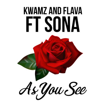Kwamz & Flava - As You See