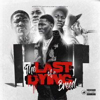 Yid - The Last of a Dying Breed (Explicit)