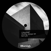 Llamaleaf - Snotty Jumper EP