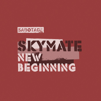 Skymate - New Beginning