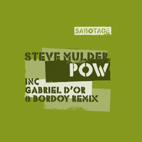 Steve Mulder - Pow