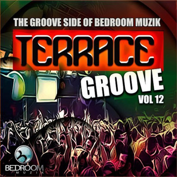 Various Artists - Terrace Groove, Vol. 12 The Groove Side Of Bedroom Muzik
