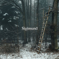 Sigimund - The Watchtower