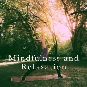 Relaxing Mindfulness Meditation Relaxation Maestro, Deep Sleep Meditation and Zen - Mindfulness and Relaxation