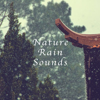 Relaxing Rain Sounds, Rain Sounds Sleep and Nature Sounds for Sleep and Relaxation - Nature Rain Sounds