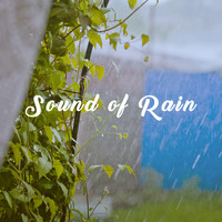White Noise Research, White Noise Therapy and Nature Sound Collection - Sound of Rain