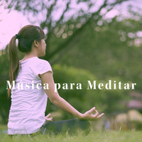 Yoga, Yoga Music and Yoga Tribe - Música para Meditar