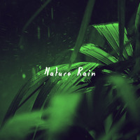 Rest & Relax Nature Sounds Artists, Sounds of Nature Relaxation and Sleep Sounds of Nature - Nature Rain