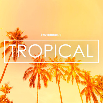 Various Artists - Tropical