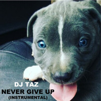 DJ Taz - Never Give Up (Instrumental)