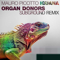 Mauro Picotto - Iguana (Organ Donors Subground Remix)