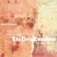David Sylvian - The Good Son Vs. The Only Daughter - The Blemish Remixes