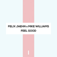 Felix Jaehn, Mike Williams - Feel Good