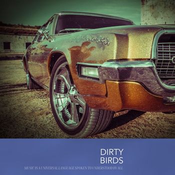 Various Artists - Dirty Birds