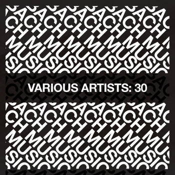 Various Artists - Various Artists: 30