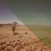 The Last - None Like You / Beating Your Name