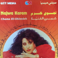 Najwa Karam - Shams El Ghinniyeh
