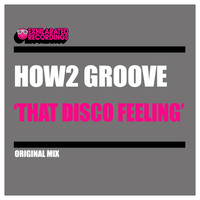 How2 Groove - That Disco Feeling