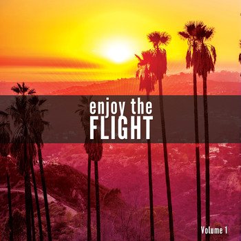 Various Artists - Enjoy The Flight, Vol. 1 (A Smooth Airplane Music Journey)