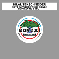 Hilal Tekschneider - Don't Say Where We're Going / Between Me & You