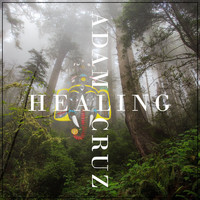 Adam Cruz - Healing