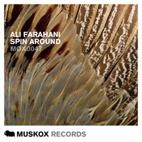 Ali Farahani - Spin Around