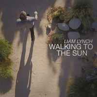 Liam Lynch - Walking to the Sun