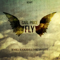 Carl Price - Fly