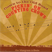 Pickin' On Series - Pickin' On The Counting Crows: A Bluegrass Tribute