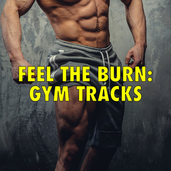 Various Artists - Feel The Burn: Gym Tracks