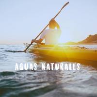 Ocean Waves For Sleep, Ocean Sounds and Ocean Sounds Collection - Aguas naturales