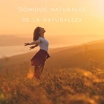 Nature Sounds, Rain Sounds and Rain - Sonidos naturales de la naturaleza