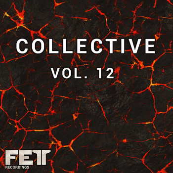 Various Artists - Collective, Vol. 12