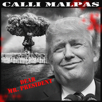 Calli Malpas - Dear Mr. President