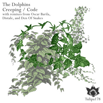 The Dolphins - Creeping / Code