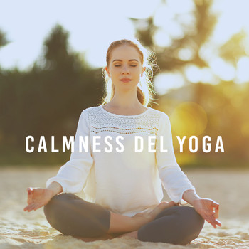 Relaxing Mindfulness Meditation Relaxation Maestro, Deep Sleep Meditation and Zen - Calmness del yoga