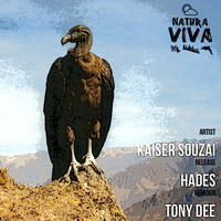 Kaiser Souzai - Hades (Tony Dee Remix)