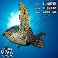 Edgar VM - Get On Down