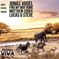 Jonas Vogel - Find My Way Home