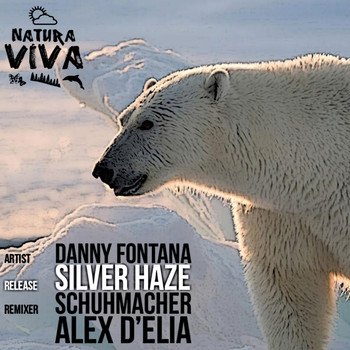 Danny Fontana - Silver Haze