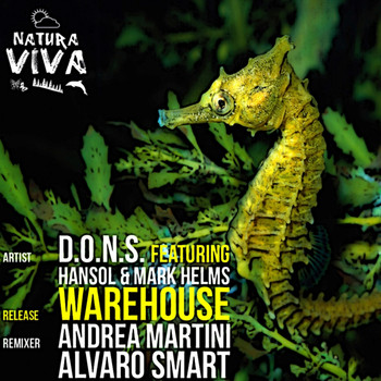 D.O.N.S. feat. Hansol & Mark Helms - Warehouse