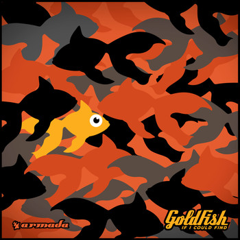 Goldfish - If I Could Find