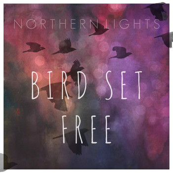 Northern Lights - Bird Set Free