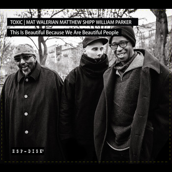TOXIC: Matthew Shipp, Mat Walerian, William Parker - This Is Beautiful Because We Are Beautiful People