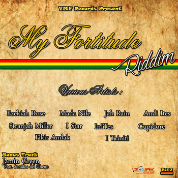 Various Artists - My Fortitude Riddim
