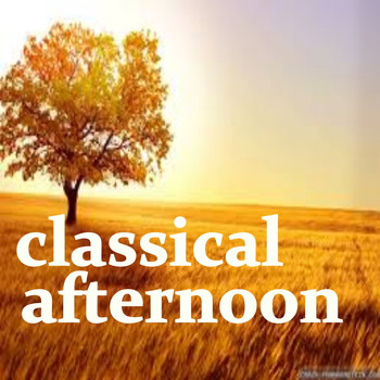 Various Artists - Classical Afternoon