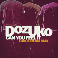 Dozuko - Can You Feel It