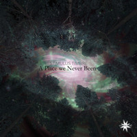 Stimulus Timbre - A Place We Never Been