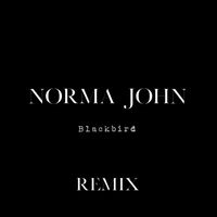 Norma John - Blackbird (Remix)